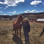 Peter Barry rowe - @peterbarryrowe - Instagram