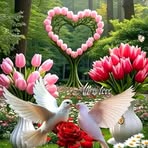 Pierre Roger - Facebook