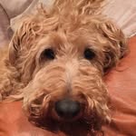 Barry Ruben - @barryruben - Instagram
