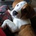 Barry Rummell - Facebook