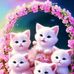 Ruhing Barri - Facebook