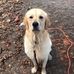 Barry Rushton - Facebook