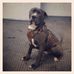 Barry Rust - Facebook