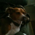 Barry Rutledge - @barrut54 - Instagram