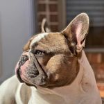 Barry Rutledge - @barrybandz13 - Instagram