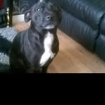 Barry Rutter - Facebook
