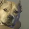 Barry Ryals - @barry.ryals - TikTok