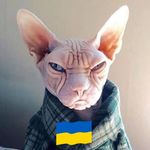 Barry Ryan - @bazboxer2022 - Instagram