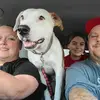Barry Ryan - @barry.ryan33 - TikTok