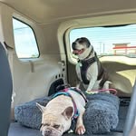 Barry Sammons - @normsammons - Instagram