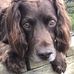 Barry Sample - Facebook