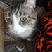 Barry Samuel - Facebook