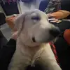 Barry - @barry.sand - TikTok