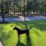 Tammy Sauter Barry - @tamtambarry - Instagram