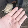 Barry - @barryaux - TikTok