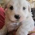 Barry Sayer - Facebook