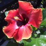 Barry Schneider - @bschneider53 - Instagram