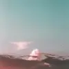 barryschneider5 - @barryschneider5 - TikTok