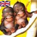 Barry Schofield - Facebook
