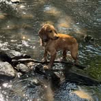 Barry Sewell - Facebook