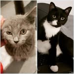 Barry Allen and Sherlock - @barryallen_and_sherlock - Instagram