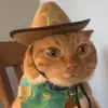 barrythedumbplum - @barrysherry6 - TikTok
