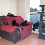 Barry Shields - Facebook