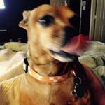 Barry Shockley - @bshock26 - Instagram