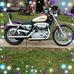 Barry Shook - Facebook