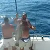Barry Shrader - @barry.shrader - TikTok