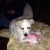 Barry Sigmon - Facebook