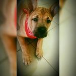 Barry - @barry_silva_ - Instagram