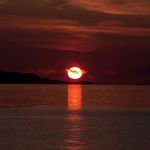 Barry Sılva - @barry.silva - Instagram