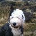 Barry Sims - Facebook