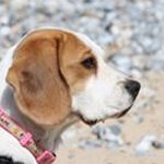 Barry Singleton - @singleton_barry - Instagram