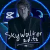 BarrySkywalker_Edits - @skywalker_edits8 - TikTok