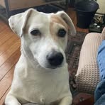 Barry Slevin - Facebook