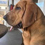 Barry Sloan - Facebook