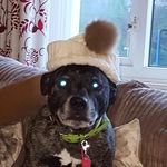 barry sloan - @barrysloan56 - Instagram