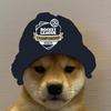 Barry - @barry._.wesoly - TikTok