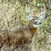 Barry Sneed - Facebook