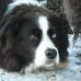 Barry Snell - Facebook
