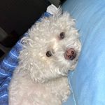 Maureen Barry Somerville - @xwallstwrkngirl - Instagram