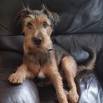 Daphne Barry Spain - @daphnebarryspain - Instagram