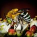 Barry Spaulding - Facebook