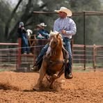 Barry Spinweber junior  - Facebook