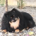 Barry Allen Spitz - @barryallenspitz - Instagram