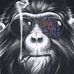 Barry Snitz - Facebook