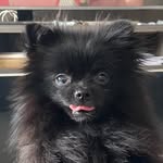 Barry Spitz - @barryalacoque - Instagram