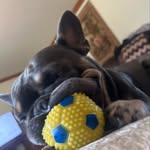 Jerry Barry Springer - @jerry.fromfrance - Instagram